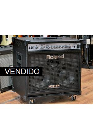 Roland D-Bass 210 (usado) Roland D-Bass 210 (usado)